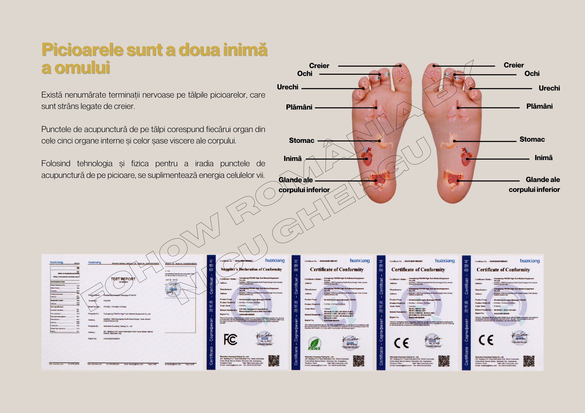 Aparat de Masaj pentru revitalizare Energetică Fohow (REM)